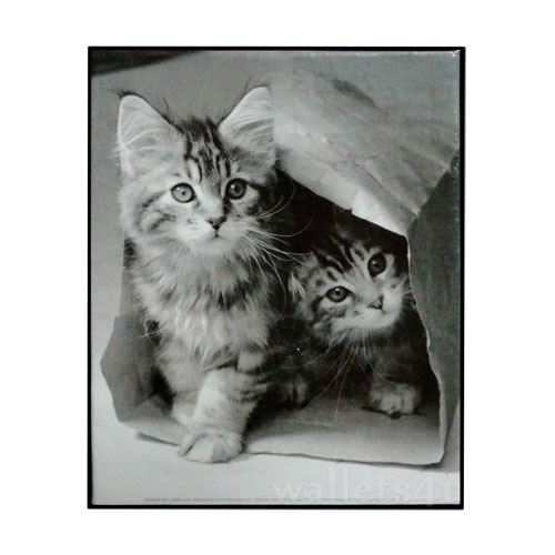*Magic Wallet, Cats, Gray - MWAP0069